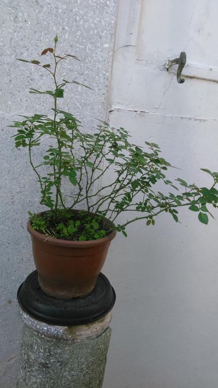 Recanto De Alegrias Em Sao Cristovao Rio de Janeiro